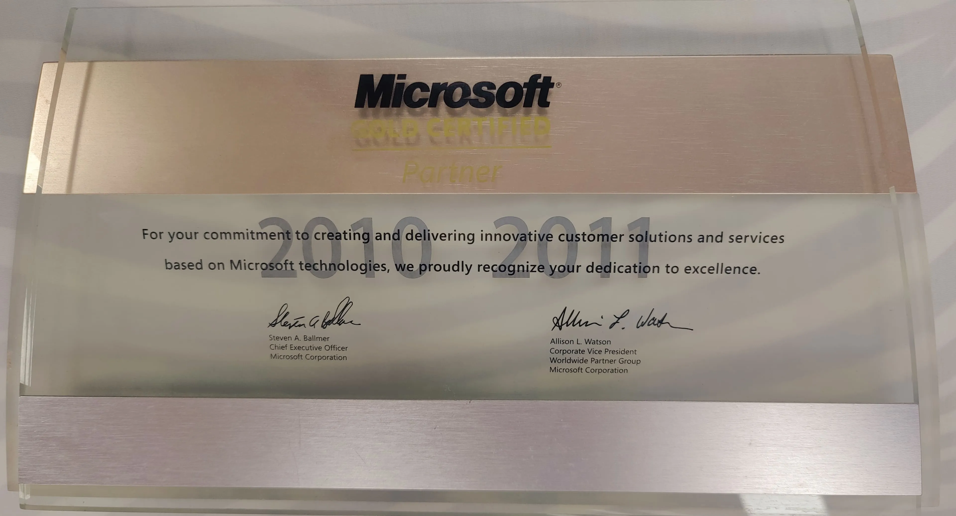 Microsoft Partner Network 2010-2011